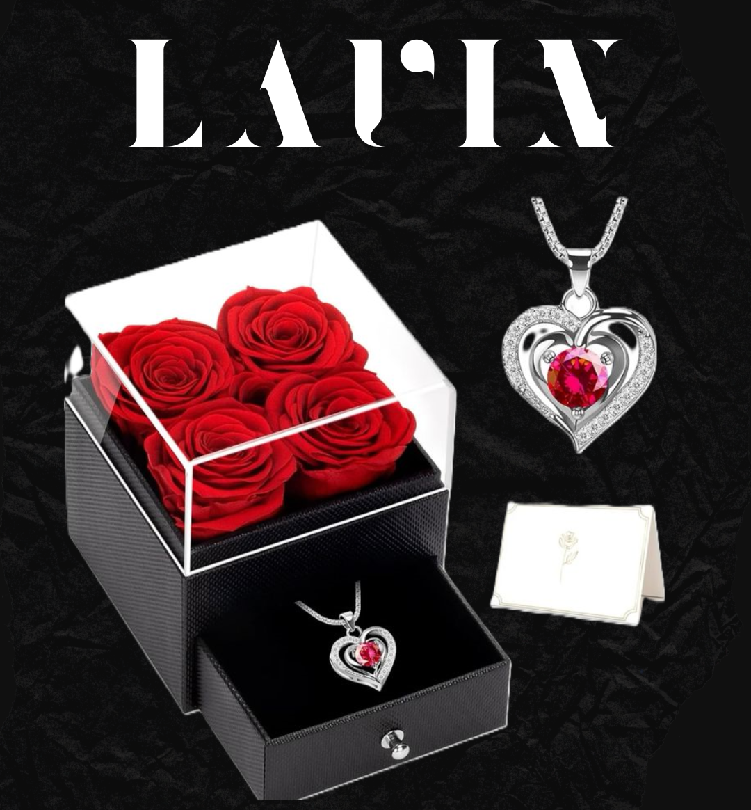 ÇEKMECELİ SÜRPRİZ KUTULU & 925 AYAR GÜMÜŞ KOLYE SETİ